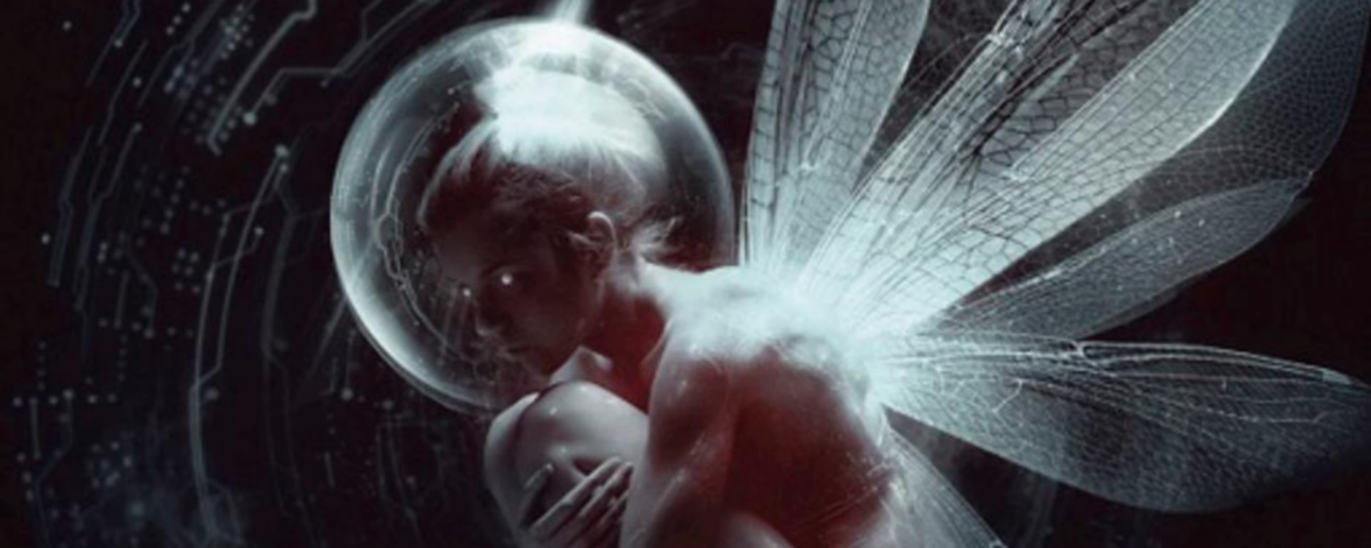 Robert Silverberg Skrzydła Nocy Wydawnictwo MAG