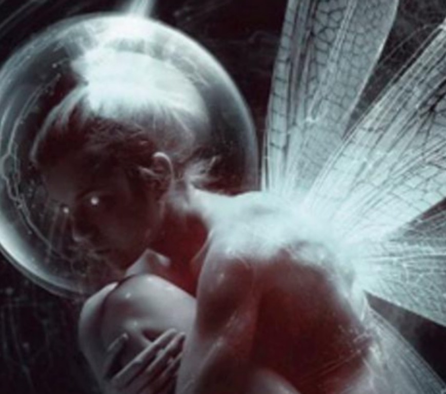 Robert Silverberg Skrzydła Nocy Wydawnictwo MAG